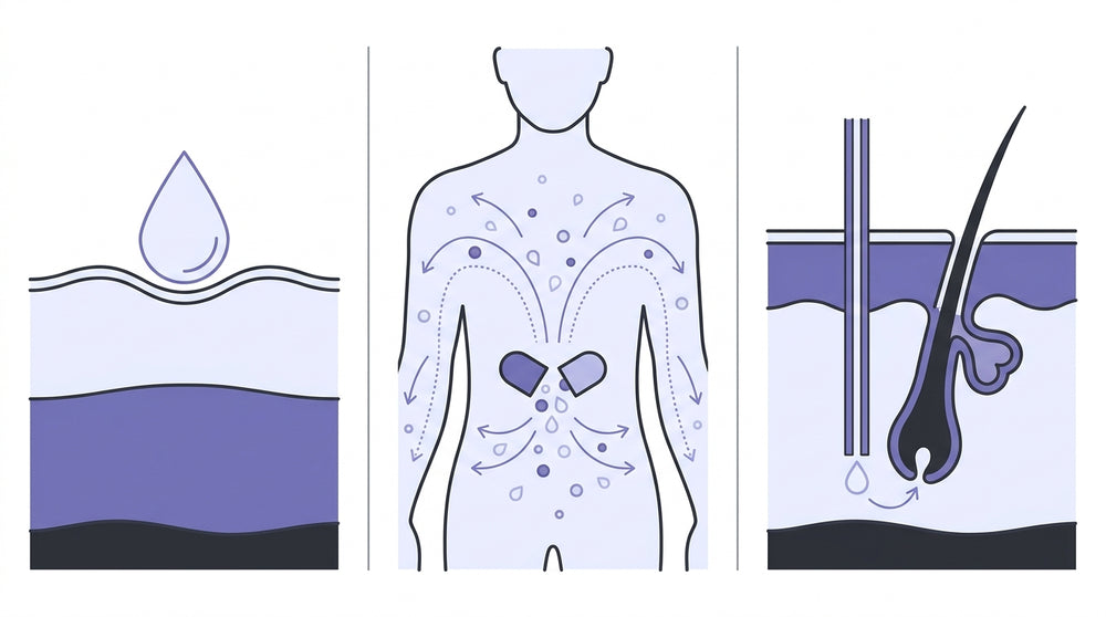 Diagram comparing three delivery routes — topical on the surface, a supplement dispersed through the body, and microinfusion straight to the follicle
